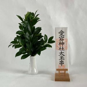 国産サカキ 榊 さかき 生花 生榊 1束 神棚...の詳細画像4