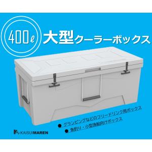 ダイライト 保冷容器 クールボックス 160型 [クーラーボックス ダイライト 保冷容器 クールボックス 160型 [クーラーボックス