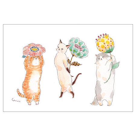 トコロコムギポストカード 花摘みにゃんこ 1枚入 K06-PG-260 30個までメール便可能 AC...