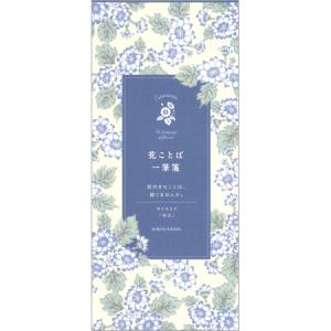 日比谷花壇 花ことば一筆箋 サイネリア 20枚入 S4746 ダイゴー 9冊までネコポス便可能