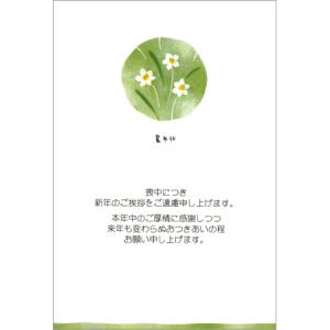 喪中はがき（文字入り）　星水仙　8枚入り　MPC-055　欠礼はがき｜Frontia　14個までネコポス便可能　M在庫-2-C2