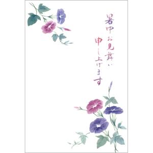 暑中見舞い ハガキ 朝顔の商品一覧 通販 Yahoo ショッピング
