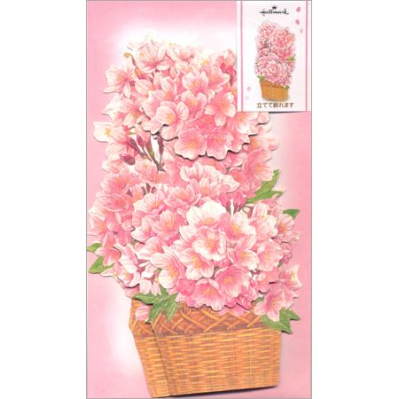 立体春柄カード ダイカット かご桜 BAR-787-998│Hallmark 14個までメール便可能...