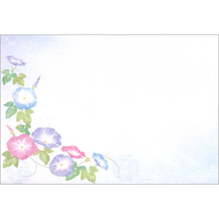 封筒 朝涼み 4枚入 4976902 NB 10冊までネコポス便可能 M在庫-2-D1