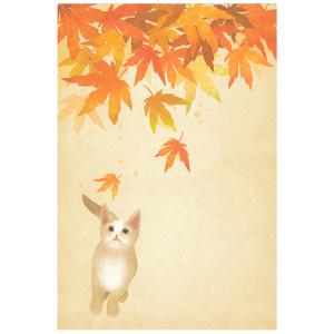 季節はがき　紅葉と猫　4枚入　A18-002449　秋柄｜正月堂