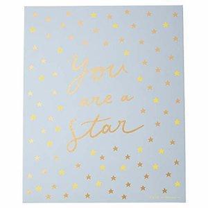 Greeting Life/グリーティングライフ グリーティングライフ 寄せ書き 色紙 シール付 シック スター MMBS-315