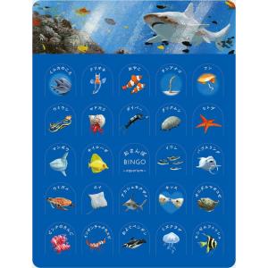 ラボクリップ(LABCLIP) ラボクリップ ブンケン ビンゴカード おさんぽビンゴ 水族館 OE-SA-0015