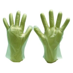 エフピコ商事:エフピコ WエンボスGLOVE23 半透明 S 箱 GWR3 オレンジブック 1158500