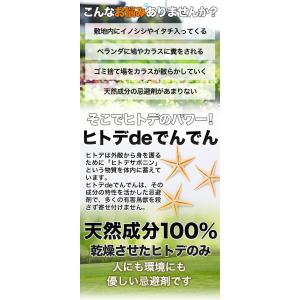 2袋 合計1kg ヒトデdeでんでん 害獣忌避...の詳細画像2
