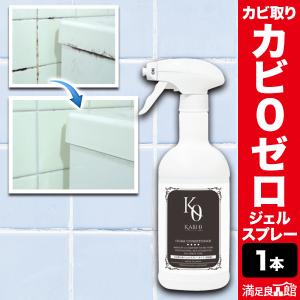 モルクリアプロ Mol clear Pro 超強力業務用カビ取りスプレー 480ml