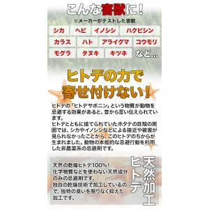 2袋 合計1kg ヒトデのちから ヒトデの力 ...の詳細画像2