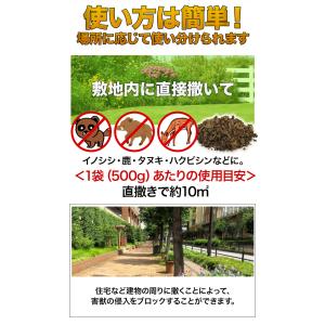 2袋 合計1kg ヒトデのちから ヒトデの力 ...の詳細画像3