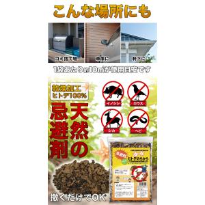 2袋 合計1kg ヒトデのちから ヒトデの力 ...の詳細画像5