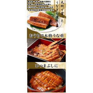 期間限定SALE中 10切れ 九州産カットうな...の詳細画像2
