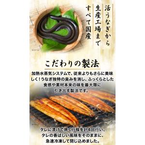 期間限定SALE中 10切れ 九州産カットうな...の詳細画像4
