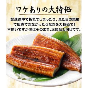 期間限定SALE中 10切れ 九州産カットうな...の詳細画像5