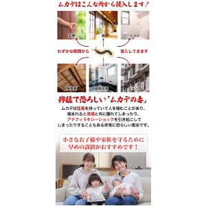 5箱 ムカでんでん ムカデ用忌避剤 ムカデ対策...の詳細画像2