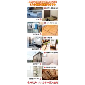 5箱 ムカでんでん ムカデ用忌避剤 ムカデ対策...の詳細画像4