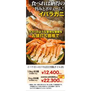 お値引きクーポン配布中 約6肩 3kg イバラ...の詳細画像1