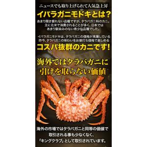 お値引きクーポン配布中 約6肩 3kg イバラ...の詳細画像2