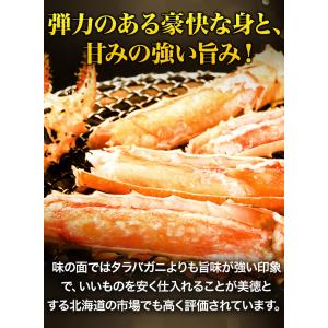 お値引きクーポン配布中 約6肩 3kg イバラ...の詳細画像3