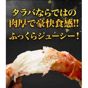 お値引きクーポン配布中 約5〜8本 750g ...の詳細画像2