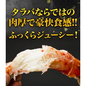 期間限定SALE中 約10〜16本 1.5kg...の詳細画像2