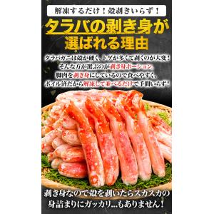 期間限定SALE中 約10〜16本 1.5kg...の詳細画像5