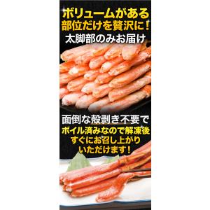 期間限定SALE中 約20〜34本 1kg 約...の詳細画像2