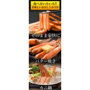 期間限定SALE中 約20〜34本 1kg 約...の詳細画像5