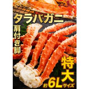 お値引きクーポン配布中 2肩 2.5kg 特大...の詳細画像1