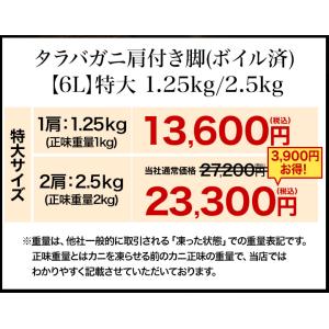お値引きクーポン配布中 2肩 2.5kg 特大...の詳細画像2