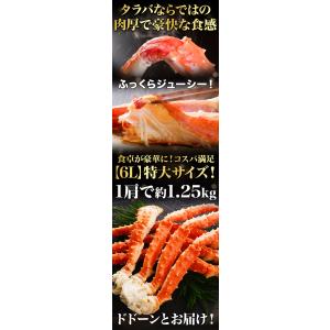 お値引きクーポン配布中 2肩 2.5kg 特大...の詳細画像3