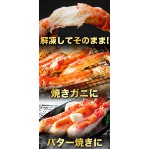 お値引きクーポン配布中 2肩 2.5kg 特大...の詳細画像4