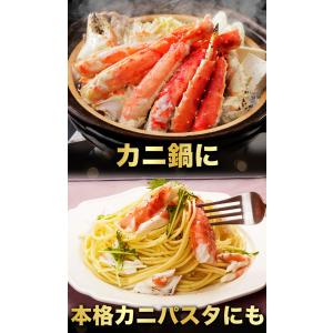 お値引きクーポン配布中 2肩 2.5kg 特大...の詳細画像5