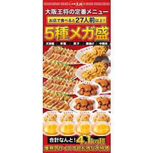 期間限定SALE中 4.1kg超 大阪王将5種...の詳細画像1