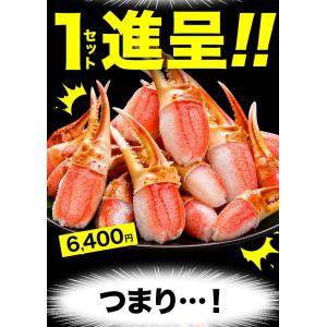 約45〜63本 1.5kg 大型お刺身用ズワイ...の詳細画像3