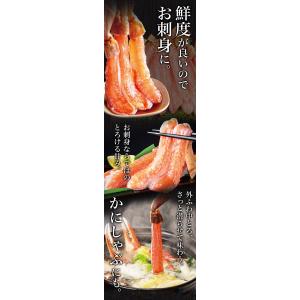 かに カニ 蟹 2.4kg 約2L〜4Lサイズ...の詳細画像4