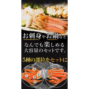 かに カニ 蟹 2.4kg 約2L〜4Lサイズ...の詳細画像5