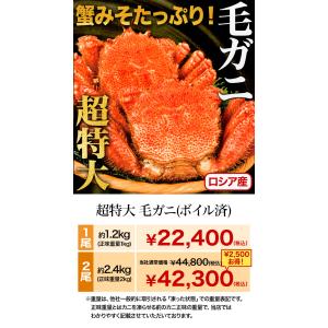 お値引きクーポン配布中 2尾 約2.4kg 超...の詳細画像1