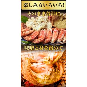 お値引きクーポン配布中 2尾 約2.4kg 超...の詳細画像3