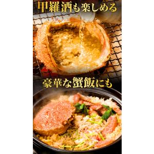 お値引きクーポン配布中 2尾 約2.4kg 超...の詳細画像4