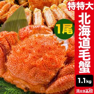 お値引きクーポン配布中 1尾 約1.1g 超特大北海道産毛ガニ (ボイル済) カニ かに 蟹 毛蟹 毛がに カニ味噌 蟹ミソ 甲羅 満足良品館カニ 送料無料