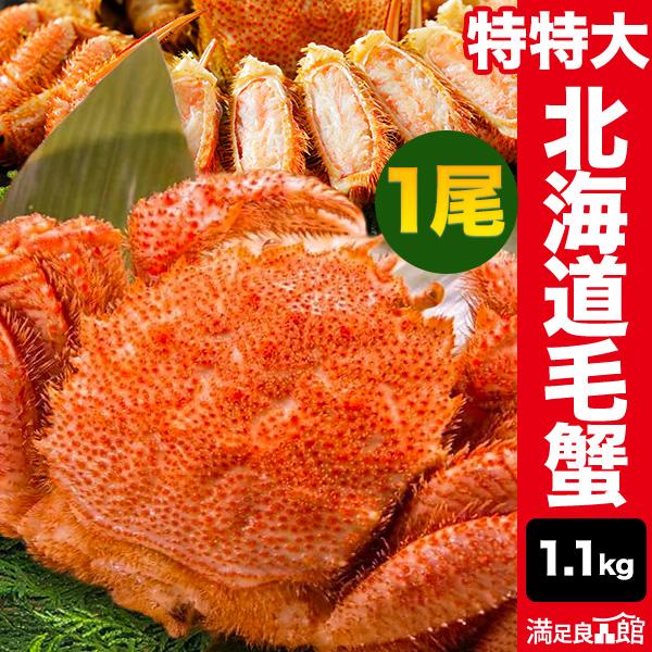 お値引きクーポン配布中 1尾 約1.1g   超特大北海道産毛ガニ (ボイル済) カニ かに 蟹 毛...