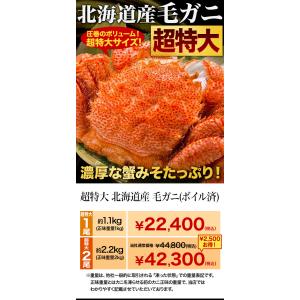 お値引きクーポン配布中 1尾 約1.1g 超特...の詳細画像1