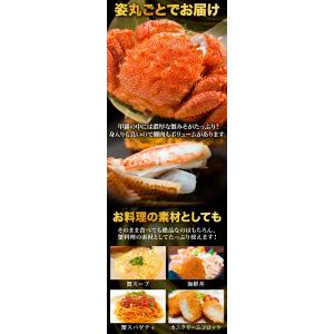 お値引きクーポン配布中 1尾 約1.1g 超特...の詳細画像4