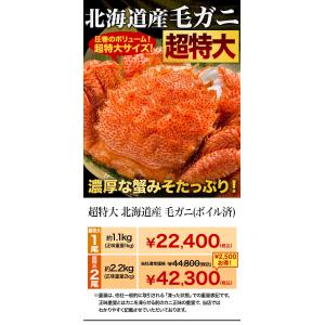 お値引きクーポン配布中 1尾 約1.1g 超特...の詳細画像5