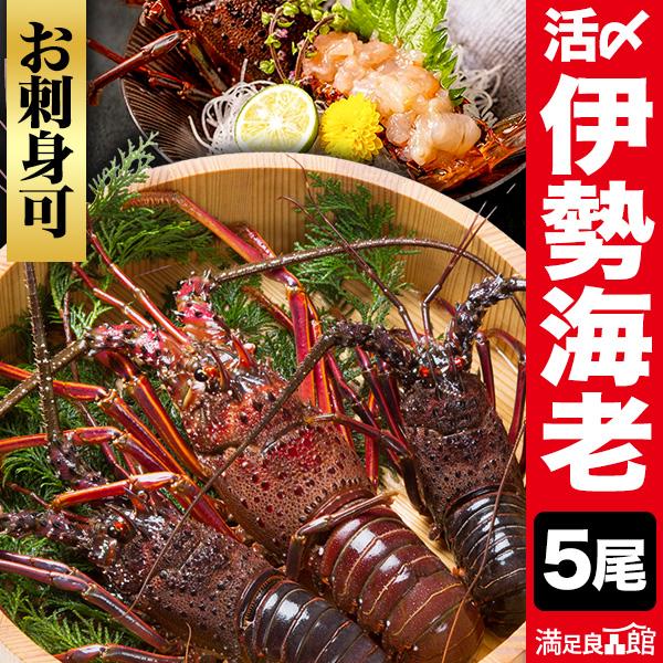 5尾 活〆伊勢海老 お買得サイズ お刺身OK 伊勢海老 小さいサイズ いせえび イセエビ 伊勢えび ...
