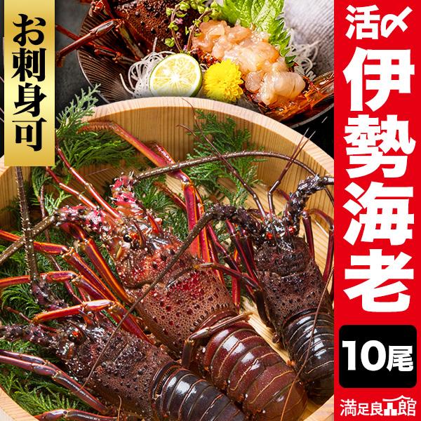 10尾 活〆伊勢海老 お買得サイズ お刺身OK 伊勢海老 小さいサイズ いせえび イセエビ 伊勢えび...