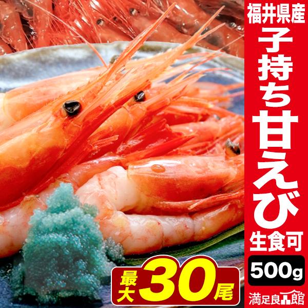 500g 福井県産 子持ち甘えび（生食可） 卵 こもち あまえび アマエビ 甘海老 エビ 生 刺身 ...